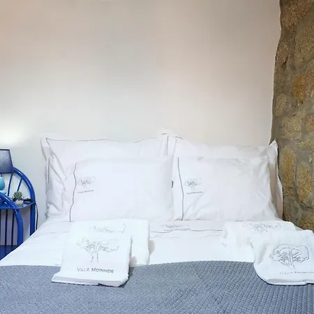 Quinta Vale De Moinhos - River View Villa Santa Leocadia (Porto)